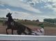 Au galop vers la découverte! La Fontaine Médicis Vaux-Andigny